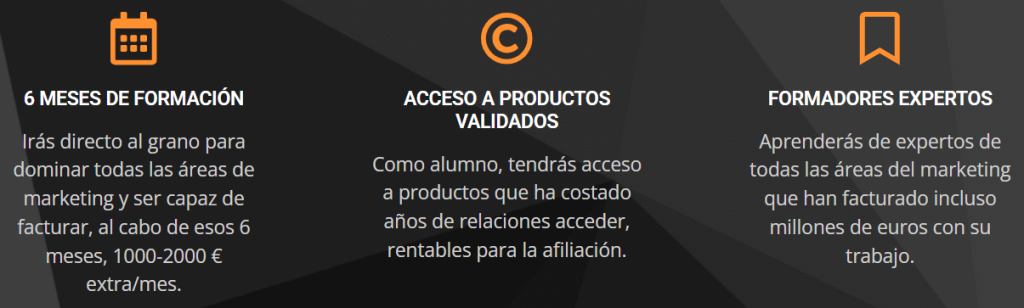 partner 360 opiniones